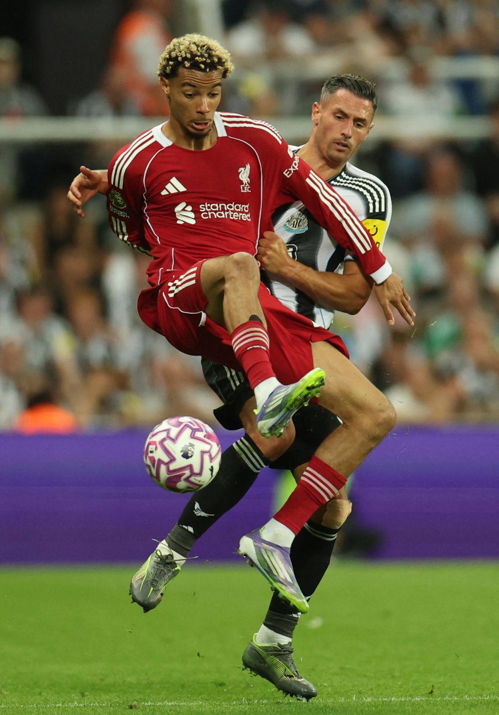 利物浦训练开放日，国际比赛日临场应变引欢呼，NBA季后赛在即，赛季目标并未改变的简单介绍